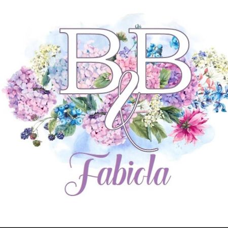 مارينو Fabiola B & B المظهر الخارجي الصورة