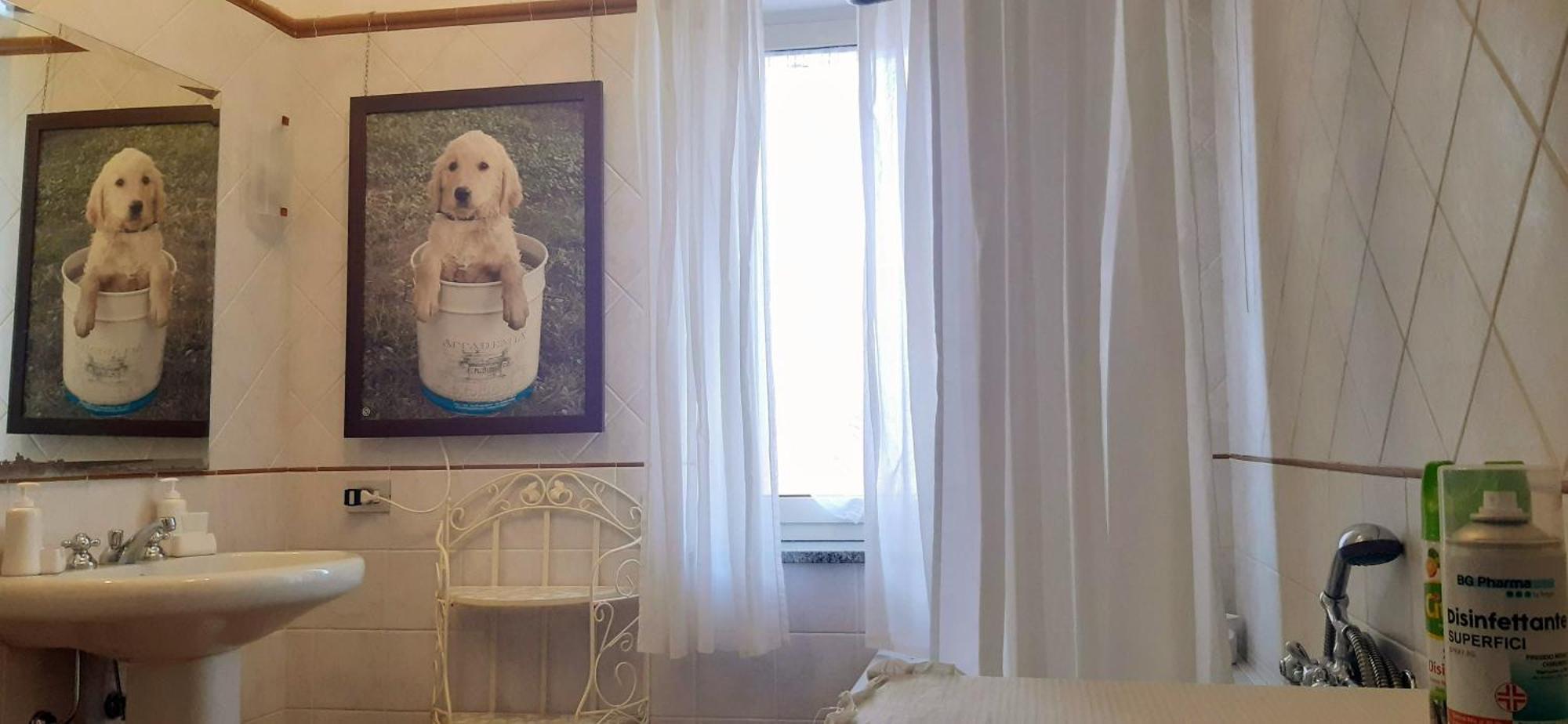 مارينو Fabiola B & B المظهر الخارجي الصورة