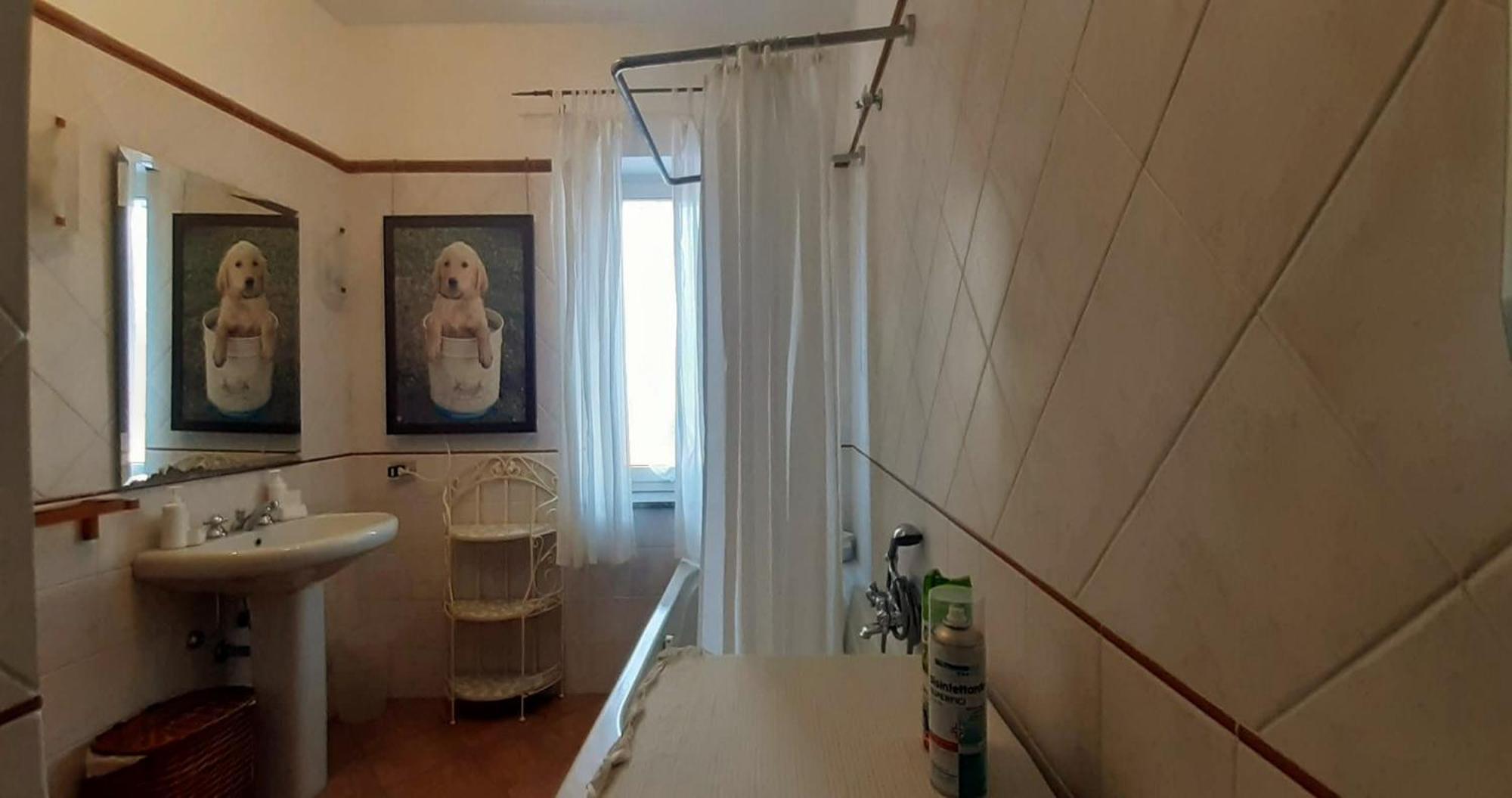 مارينو Fabiola B & B المظهر الخارجي الصورة